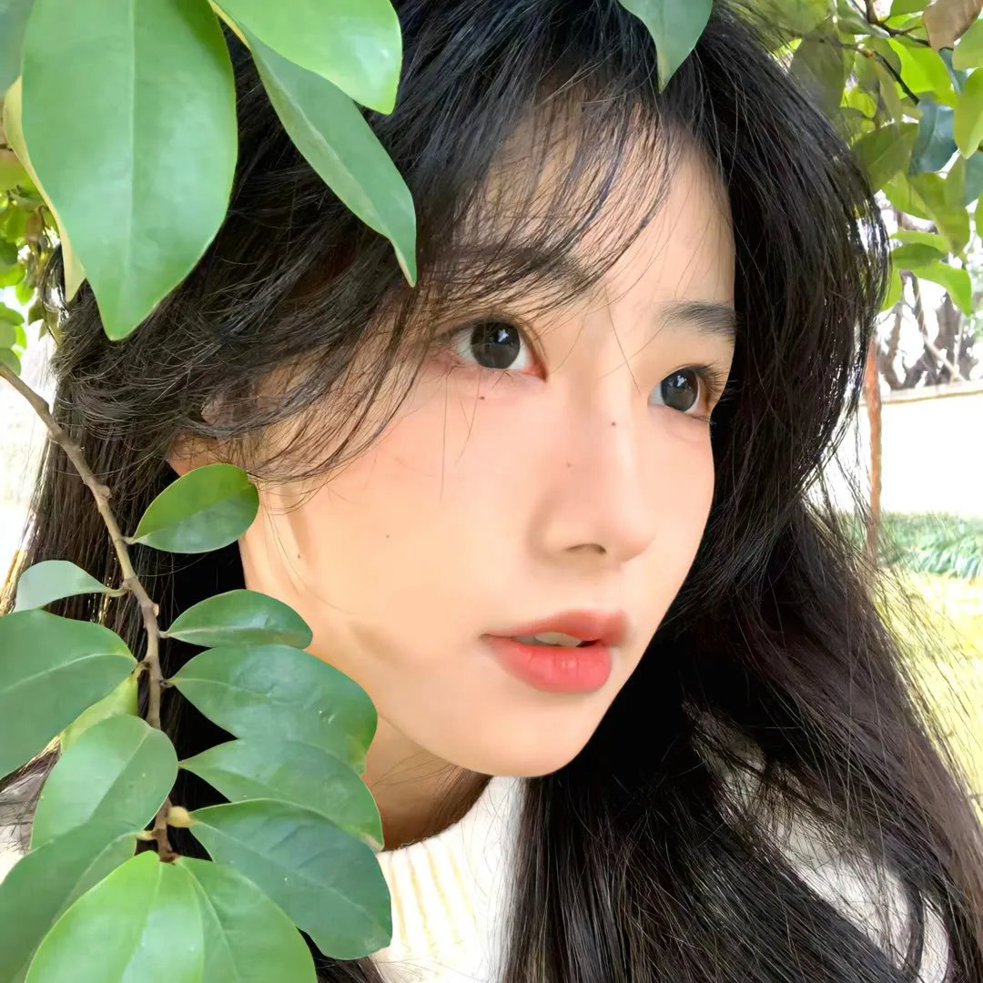 摇曳百合 十周年特别篇
